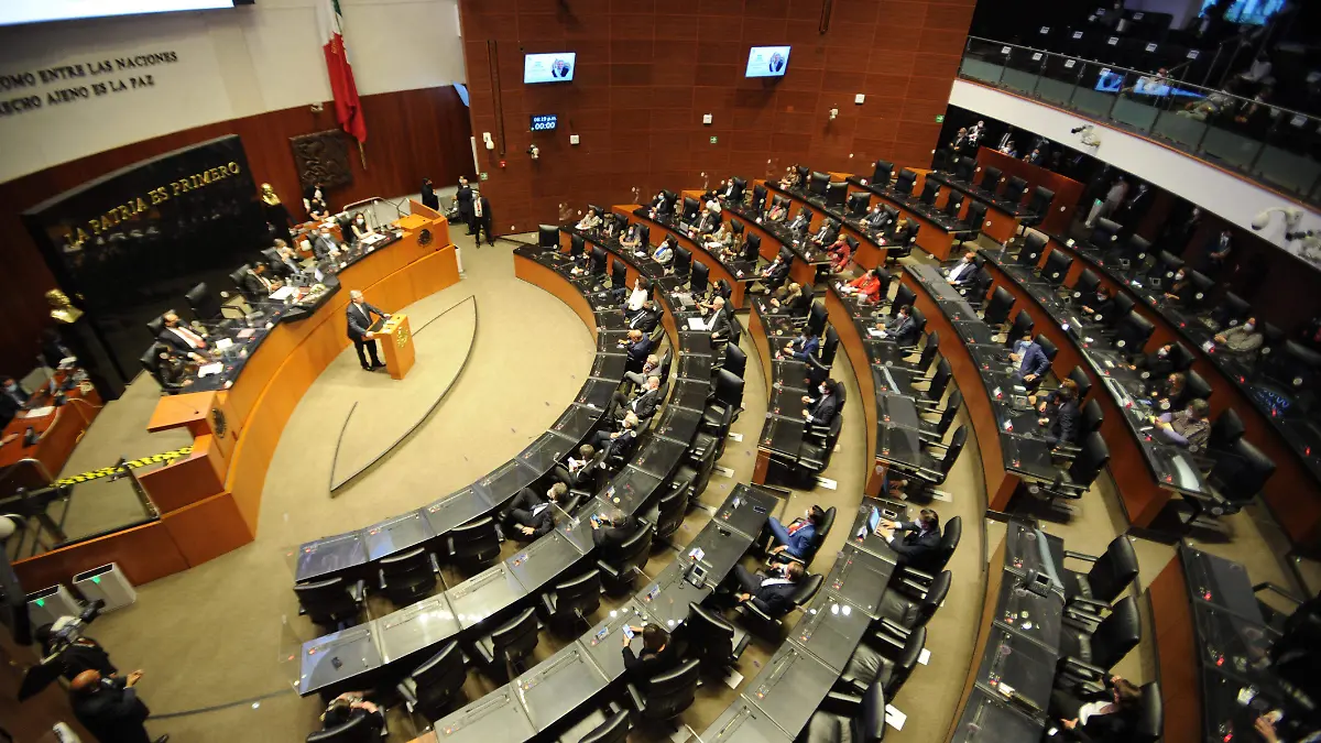 SENADO SESION SOLEMNE. PRES. ARGENTINA 1. Fotos Mauricio Huizar (13)